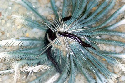 DSC_1877.jpg