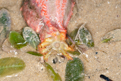 DSC_1886.jpg