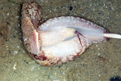 DSC_1902.jpg