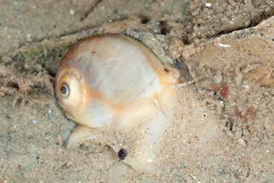 DSC_1905.jpg