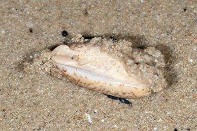DSC_1909.jpg
