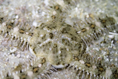 P8080890.gif
