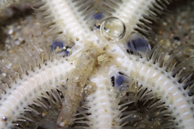 P8080899.gif