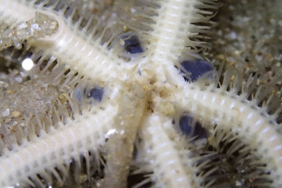 P8080900.gif