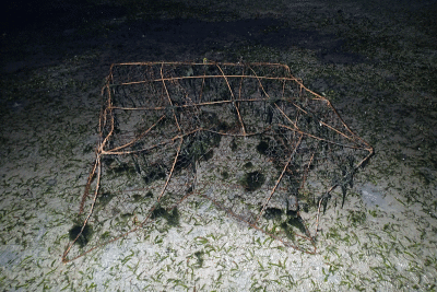 P8080907.gif