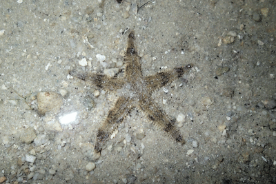 P8080914.gif