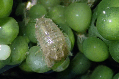 P8080922.gif