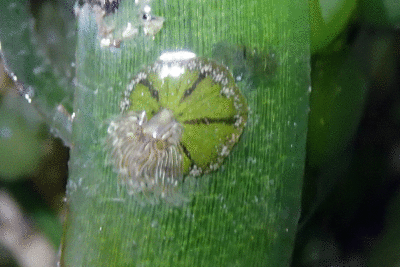P8080924.gif