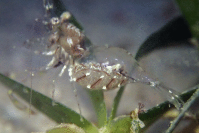P8080931.gif
