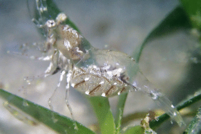 P8080933.gif
