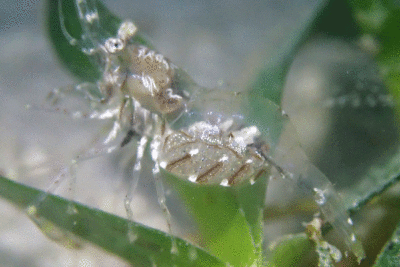 P8080934.gif