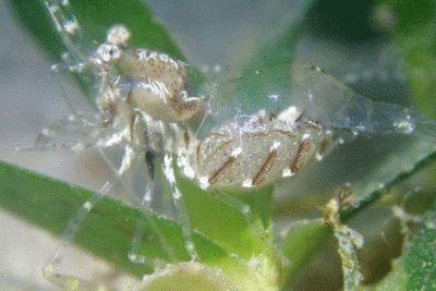 P8080935.gif
