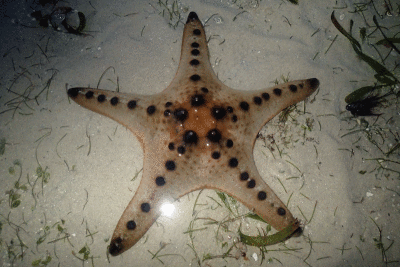 P8080936.gif