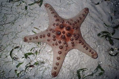 P8080937.gif