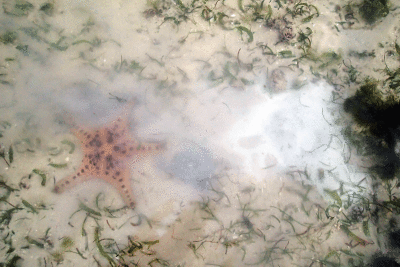 P8080938.gif