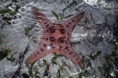 P8080941.gif