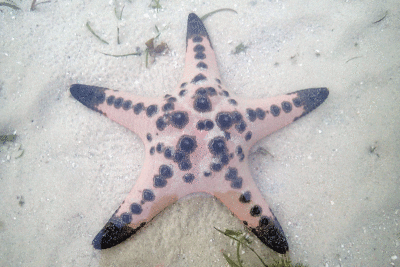 P8080946.gif