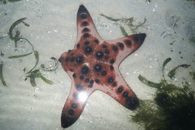 P8080947.gif