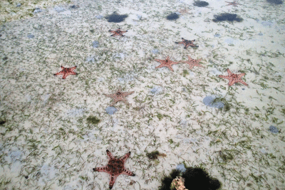 P8080948.gif