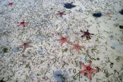 P8080949.gif