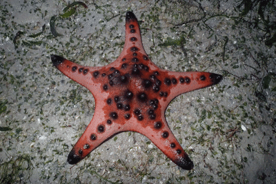 P8080950.gif