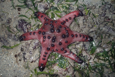 P8080952.gif
