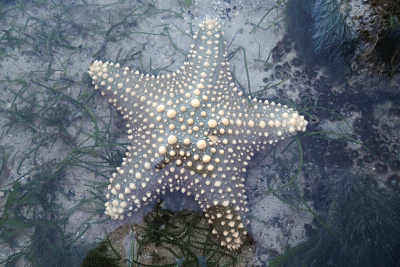 P8080953.gif