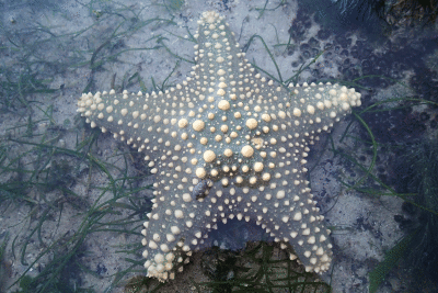 P8080954.gif
