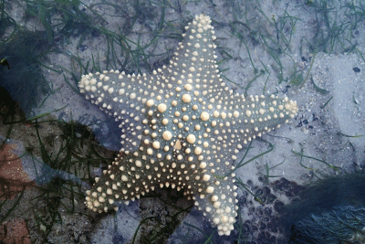 P8080955.gif