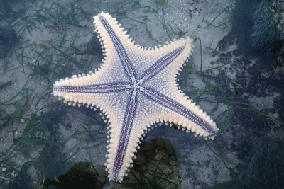 P8080956.gif