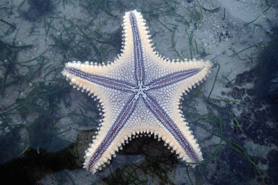 P8080957.gif