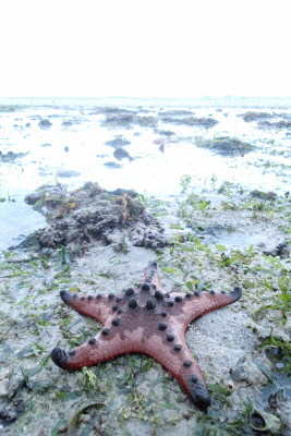 P8080958.gif