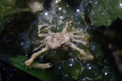 P8080961.gif
