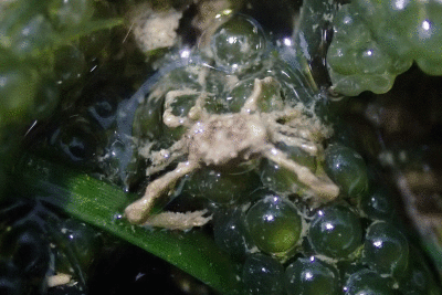 P8080962.gif