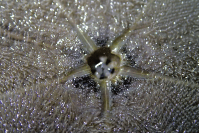 P8080968.gif