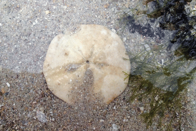 P8080970.gif