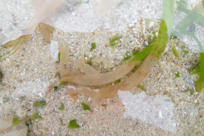 P8080980.gif