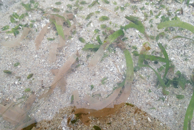 P8080982.gif