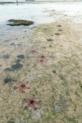 P8080983.gif