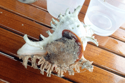 P8080995.gif