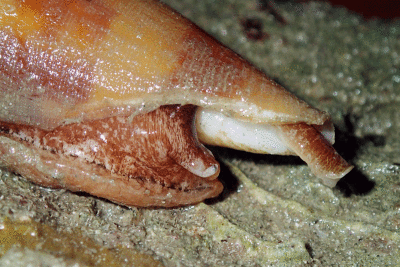 P8080997.gif