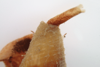 P8081003.gif