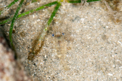 DSC_2257.jpg