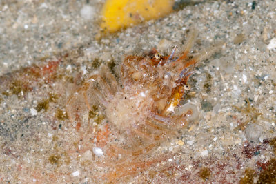 DSC_2265.jpg