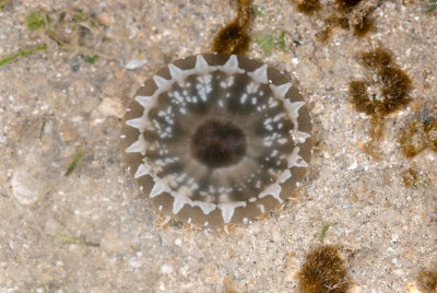 DSC_2269.jpg