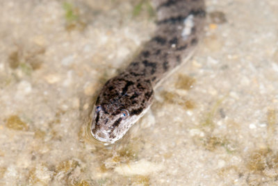 DSC_2280.jpg