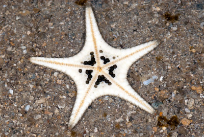DSC_2288.jpg