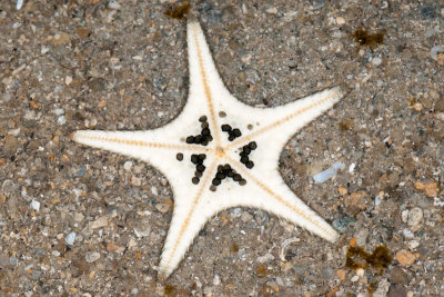 DSC_2289.jpg