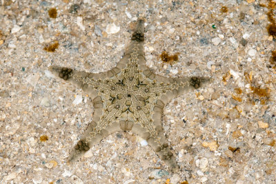 DSC_2295.jpg