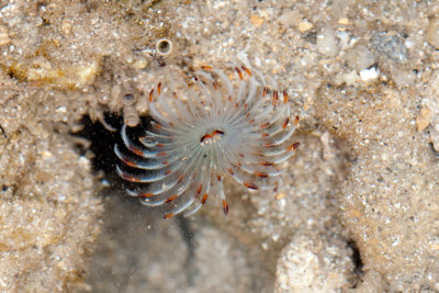 DSC_2305.jpg